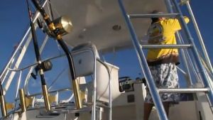 Pic: Mick Fletoridis